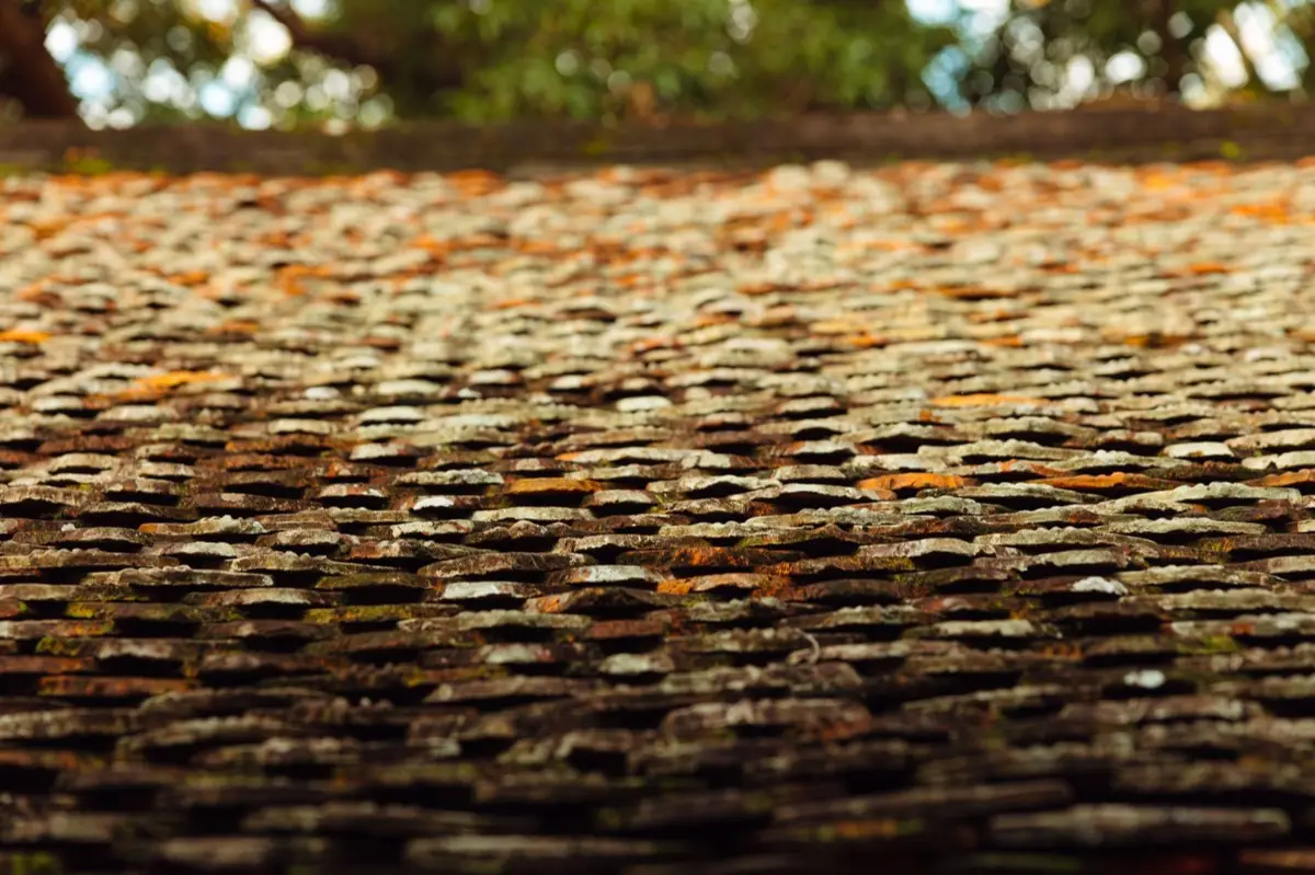 Aging shingle roof with moss growth and granule loss in Olympia, WA
